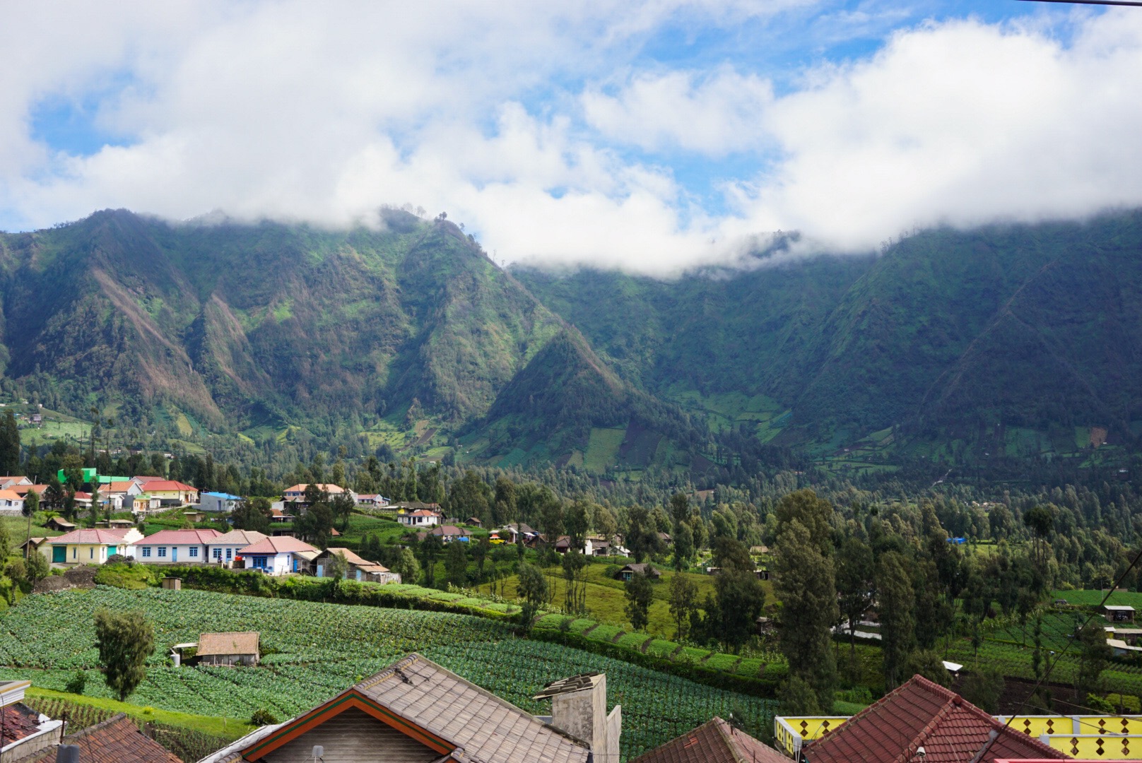  cemoro lawang  justhalfaworldaway com TRAVEL DIARY